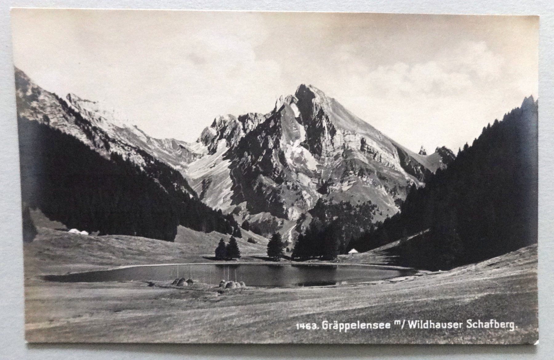 Cartoline postali: Gräppelensee m/Wildhauser Schafberg – Usato da Fétigny venduto da Billy2miny