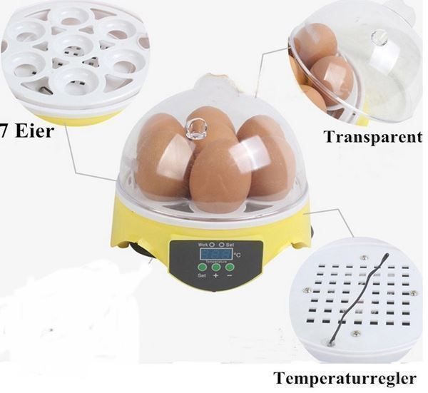 Sonstiges Tierzubehör: Eier Inkubator Brutkasten Brutapparat Ei – Neu und originalverpackt aus Visp von zbotschi 1