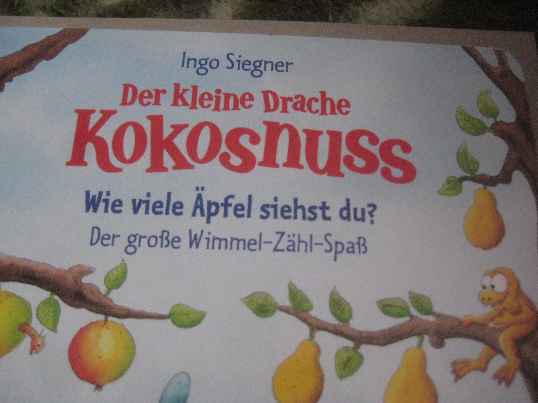 Libri: DER KLEINE DRACHE  KOKOSNUSS – Usato da Uster venduto da flocke1 1