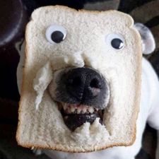 Profile image of jor_y588