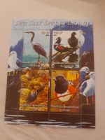 Congo, oiseaux - Timbre rare de collection, année 2004