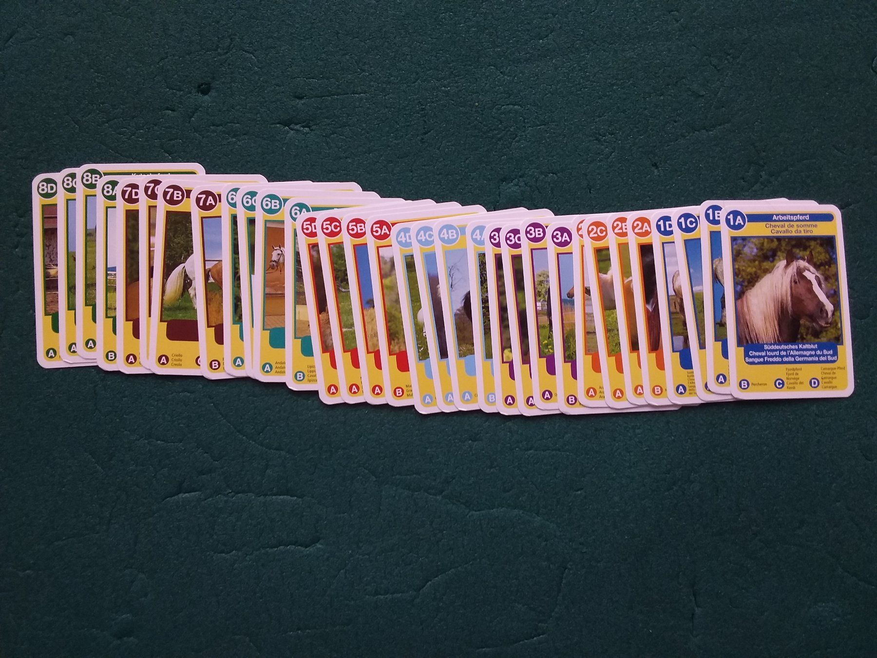 Ravensburger Giochi: Quartett Pferde + Ponys – Usato da Ehrikon venduto da Peter093 1