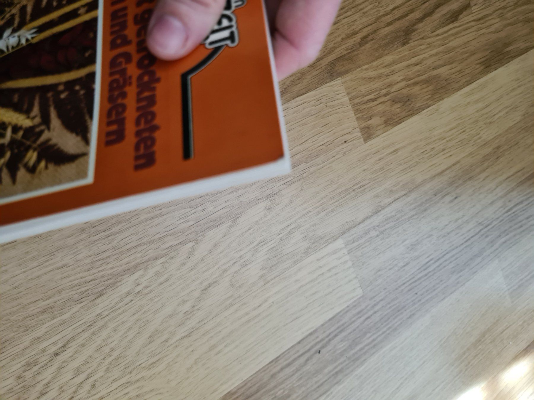 Libri: Basteln mit getrockneten Blumen und Gräsern Buch – Usato da Langenthal venduto da Polarisstern 5
