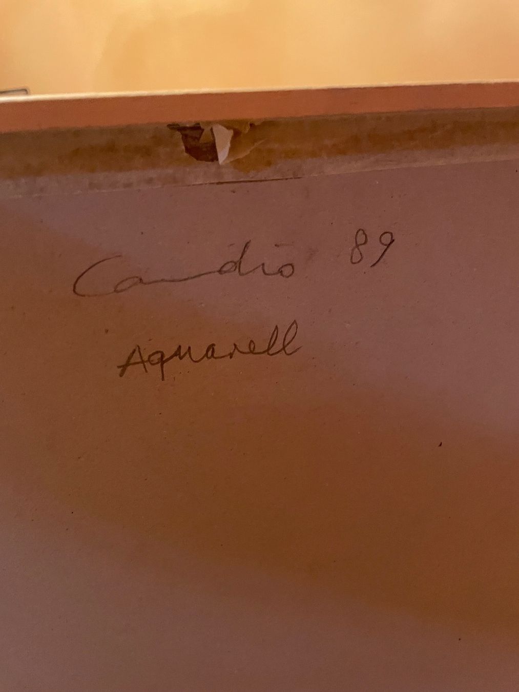 Gemälde: Blumen Aquarell, gerahmt, Original R.Candio – Gebraucht aus suberg von Phoo26 2