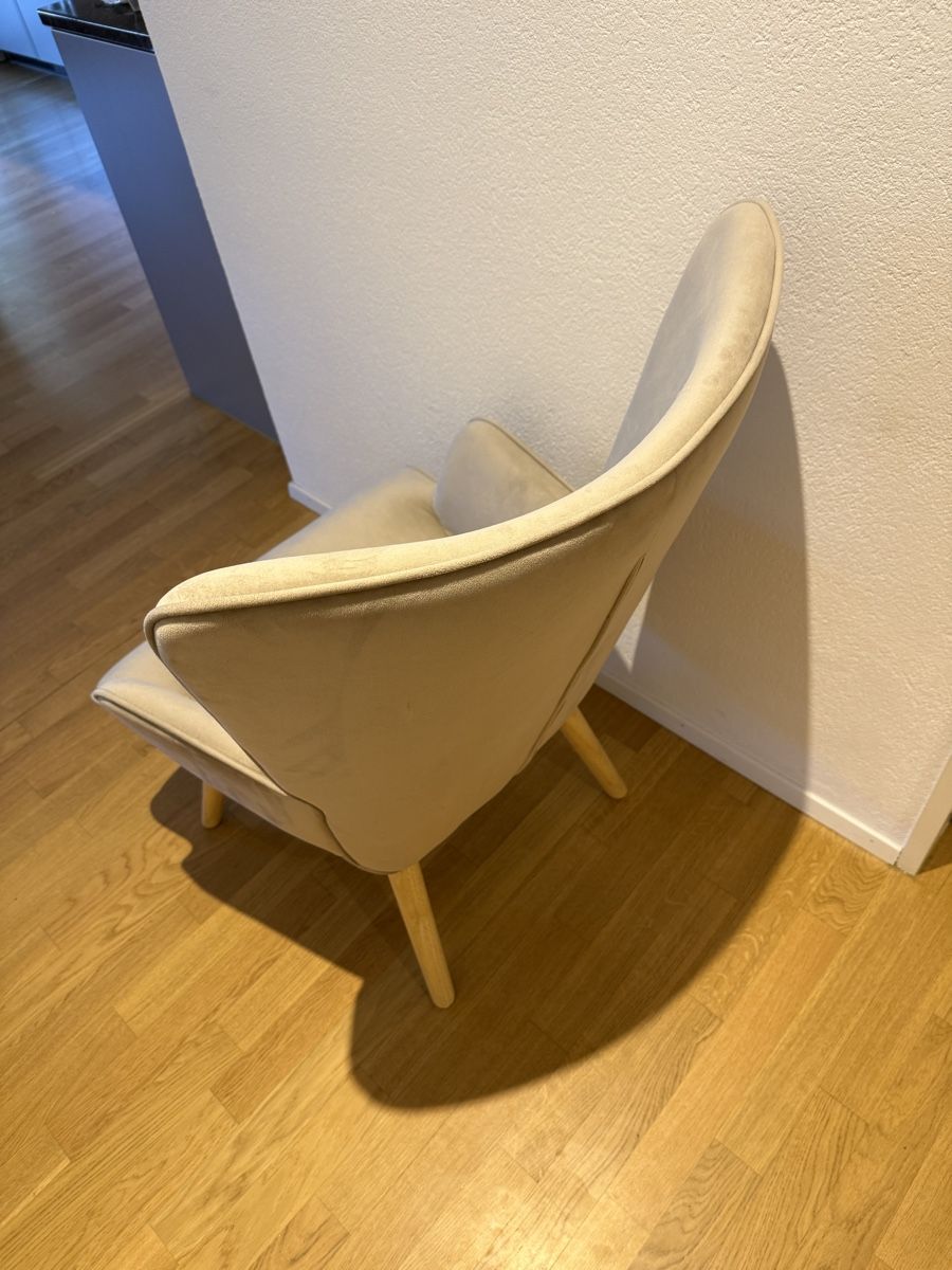 Poltrone: Sessel Samt hellgrau guter Zustand – Nuovo (secondo la descrizione) da Visp venduto da dar_97k8 3
