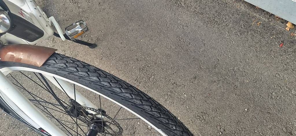 Biciclette: Neox e-bike  – Usato da Aadorf venduto da BrunusBike 2