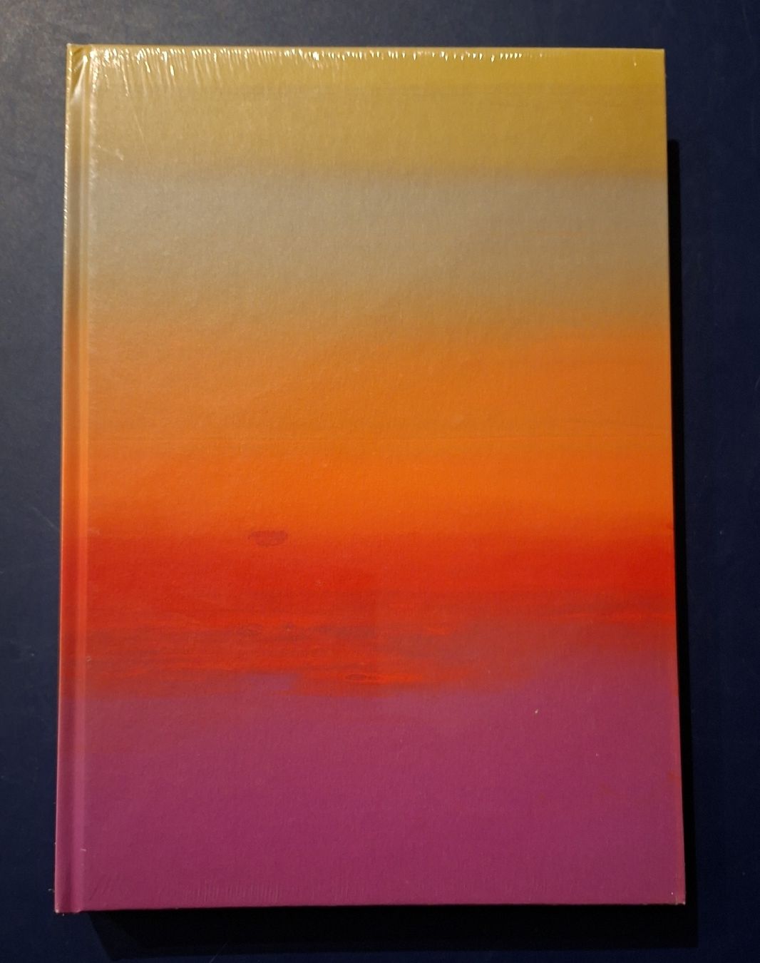 Bücher: Salutory Failures Raphael Hefti Kunsthalle Basel neu – Neu und originalverpackt aus Niederglatt ZH von Siegfried67