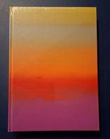 Salutory Failures Raphael Hefti Kunsthalle Basel neu