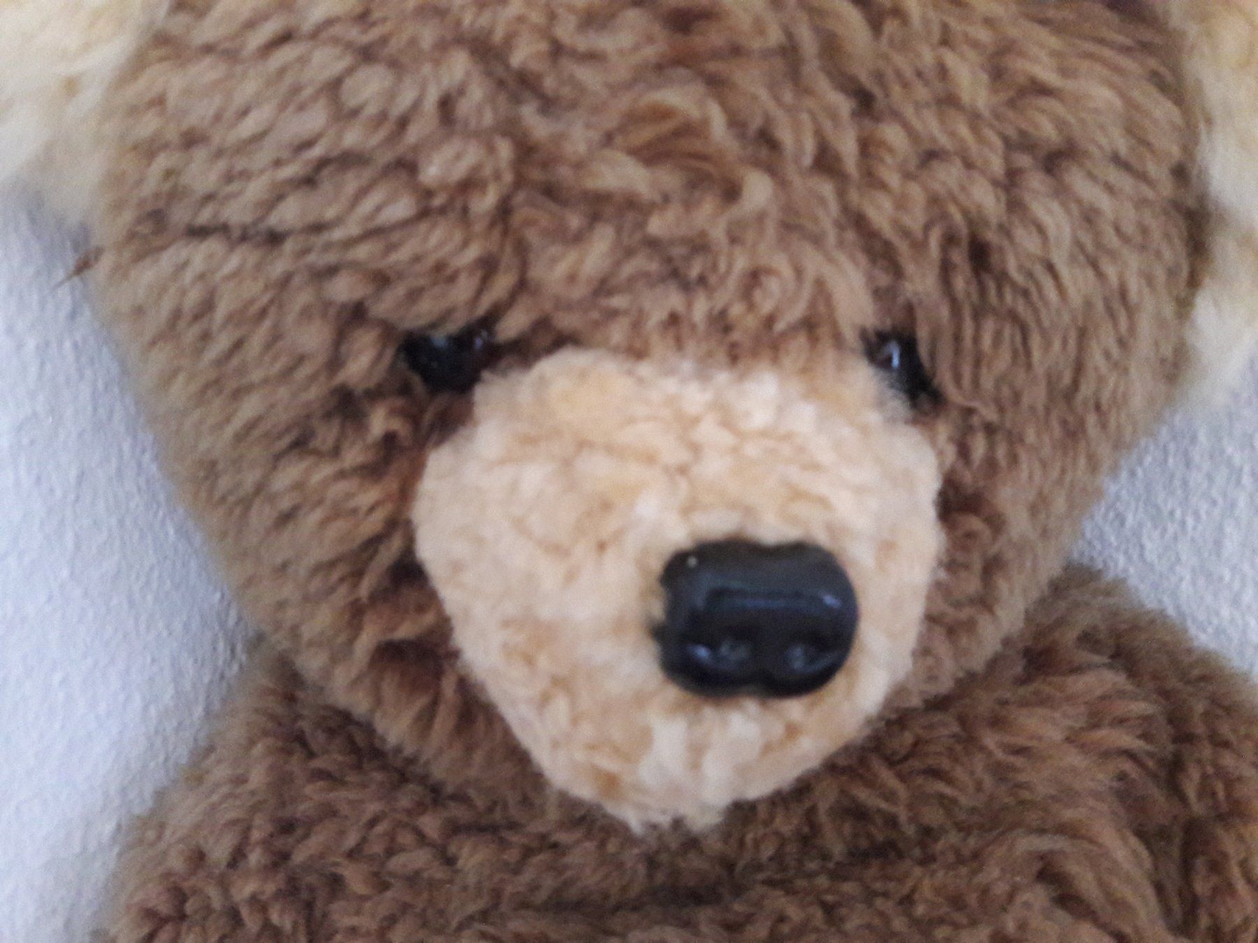 Puppen: TeddyBär – Neu (gemäss Beschreibung) aus Zollikerberg von Kaugo 1