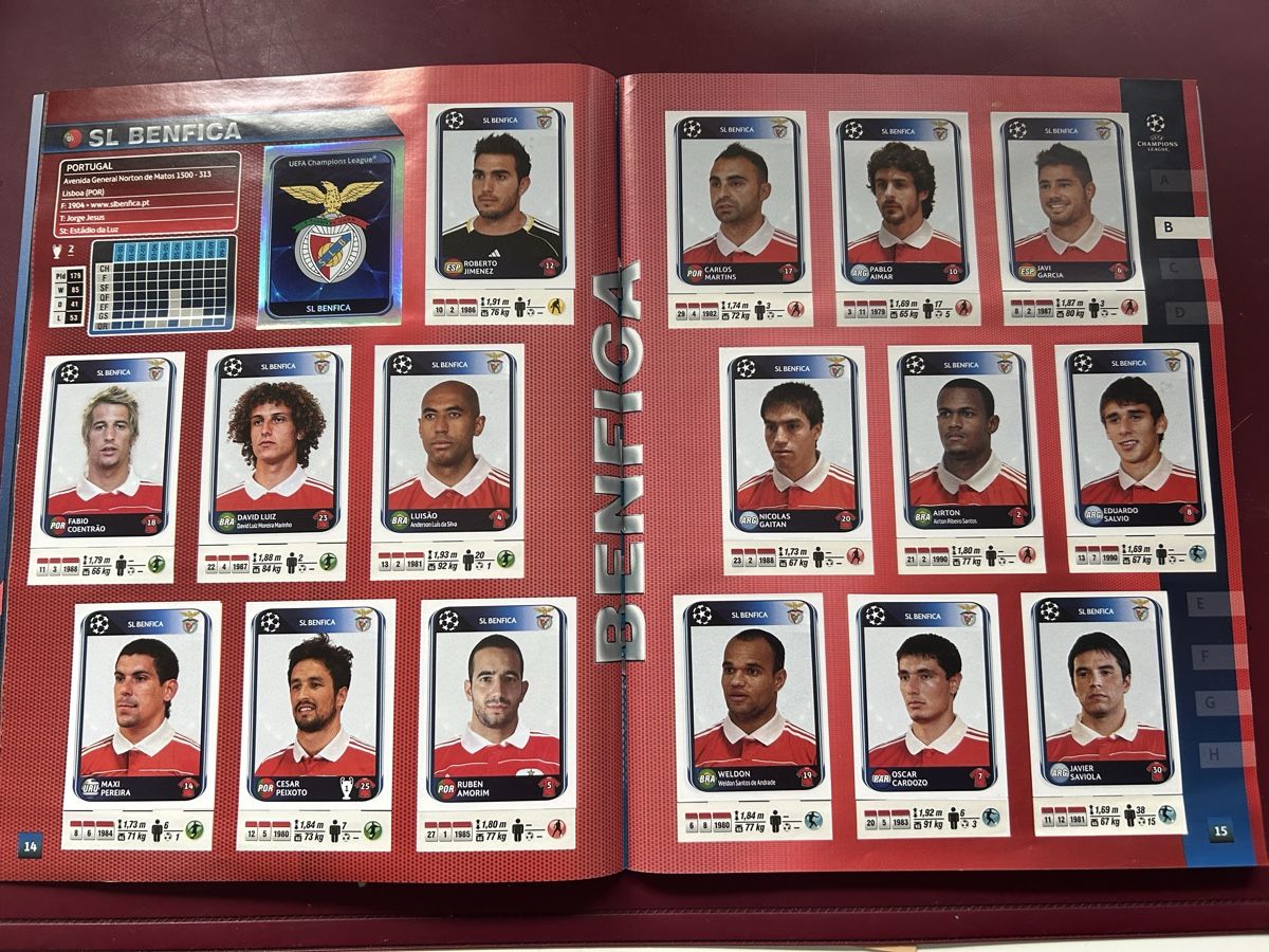 Panini Album: Panini CL Album 2010-2011 – Nuovo (secondo la descrizione) da Binningen venduto da Flagello 4