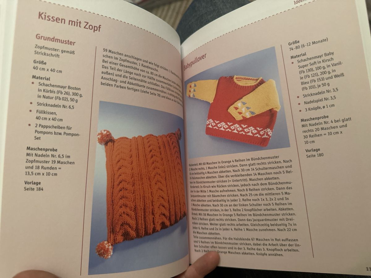 Libri: BASISWISSEN Stricken Das grosse Einsteigerbuch mit Modellen – Nuovo (secondo la descrizione) da Bern venduto da Ibizaflow 5