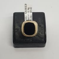 Echt 14K Gold Siegelring