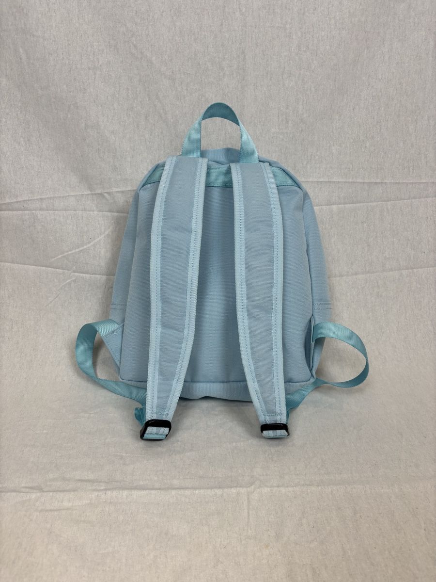 Zaini: Corteiz backpack / Rucksack – Nuovo (secondo la descrizione) da Heimiswil venduto da Mad2mad 1