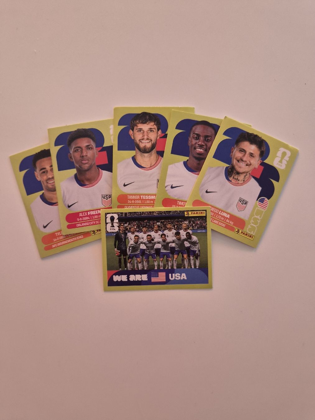 Panini Carte collezionabili: USA Panini Bundle – Nuovo (secondo la descrizione) da Zürich venduto da gates_11