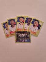 USA Panini Bundle