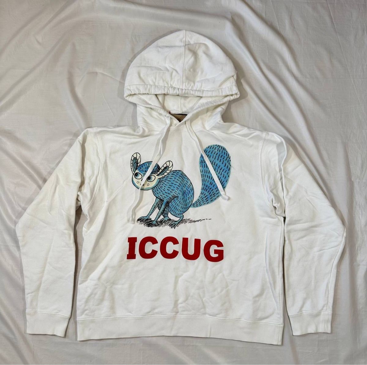 Gucci Pulls & Sweat-shirts: Gucci Hoodie  – D'occasion à Pfäffikon ZH par Nataliia.