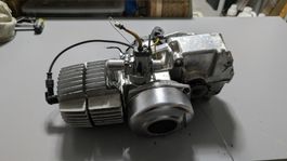 Puch maxi Motor 