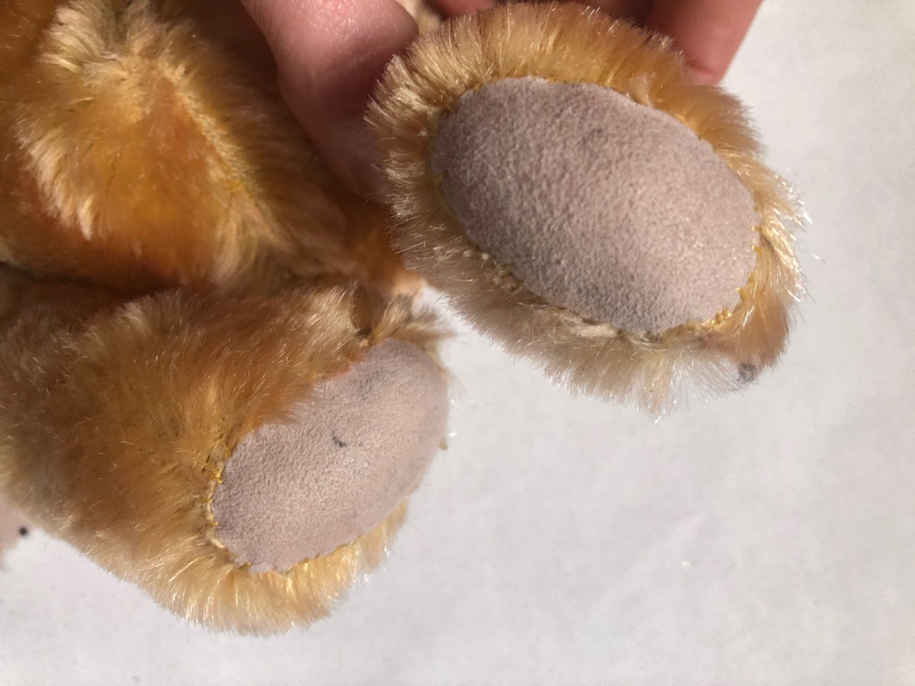 Spielzeuge: Ours en peluche – Gebraucht aus Arnex-sur-Orbe von cameleonfringant 8