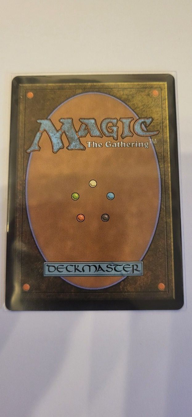 Magic The Gathering Carte collezionabili: MTG - Seize the Day – Usato da Münsingen venduto da DigitaleSpielecke 1