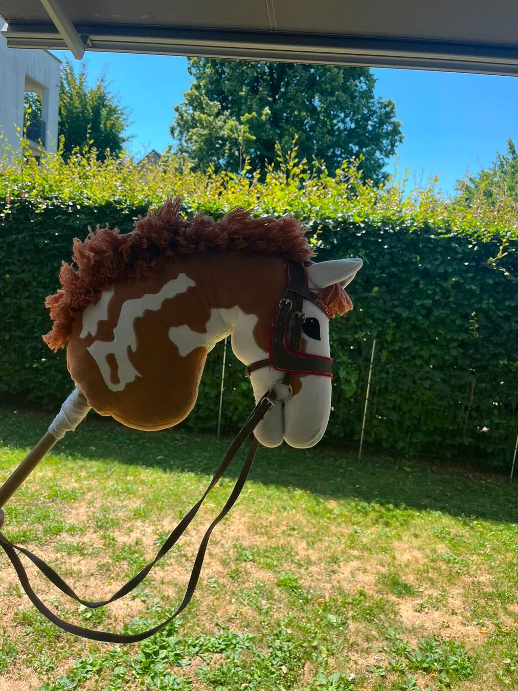 Giocattoli: Hobby Horse – Usato da Nänikon venduto da a.hugentobler