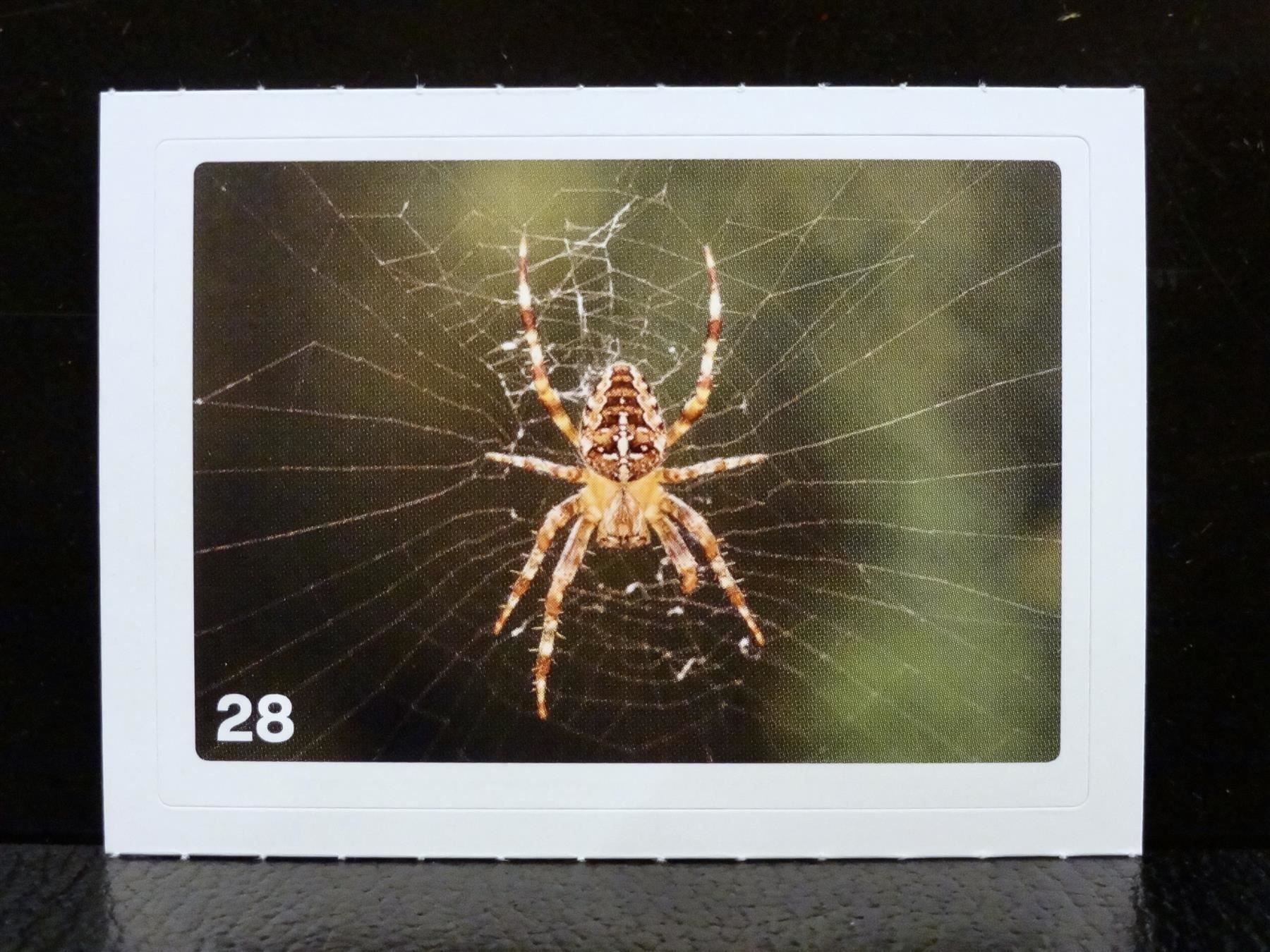 Migros Cartes à collectionner: MIGROS MANIA Nature Detectives Nr. 28 – Neuf avec emballage d'origine à Kerzers par zimmergruen