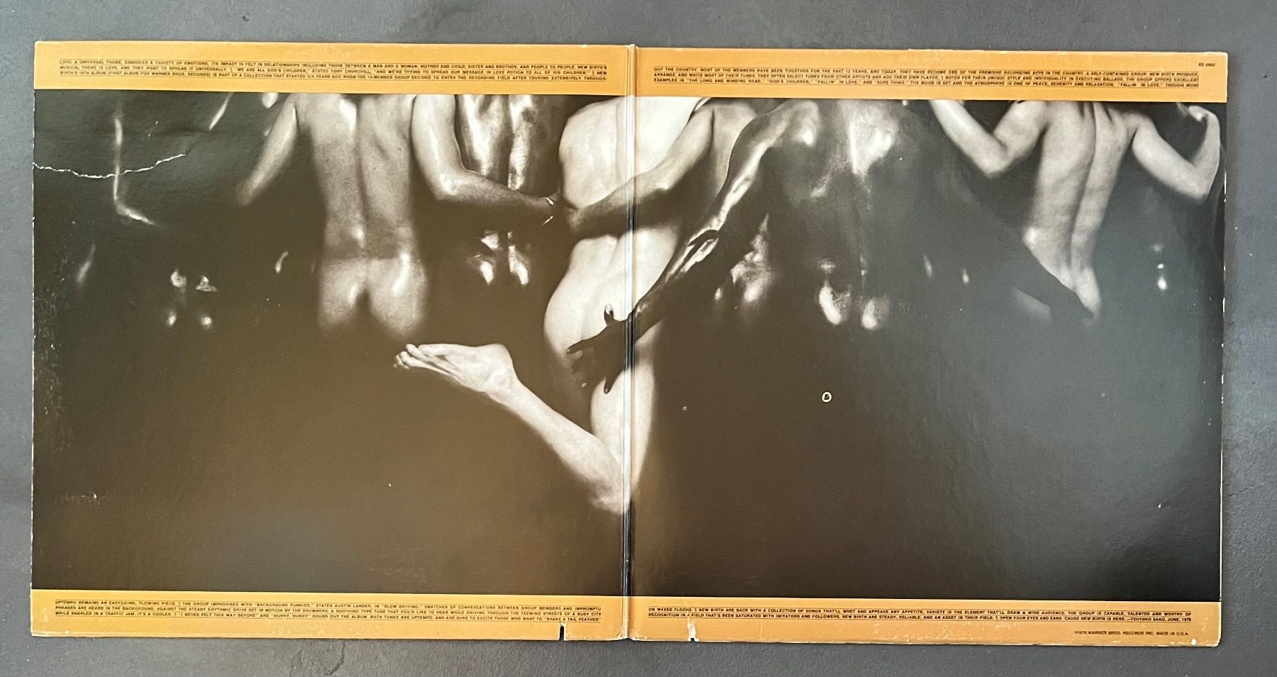 Dischi in vinile: New Birth - Love Potion - LP – Usato da dachsen venduto da oheio 2