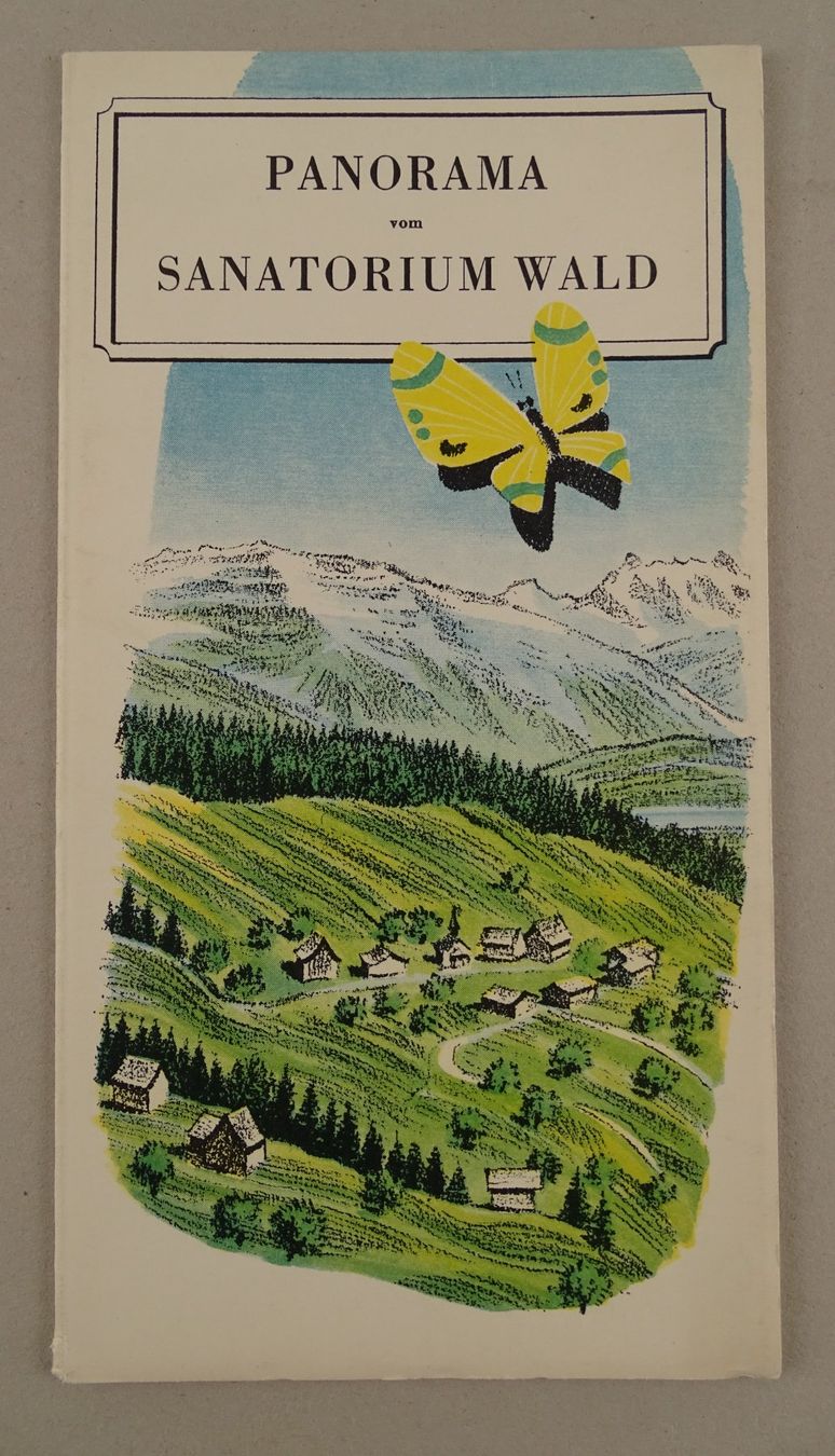 Libri: PANORAMA VOM SANATORIUM WALD – Usato da Grüningen venduto da Kartensammler 1