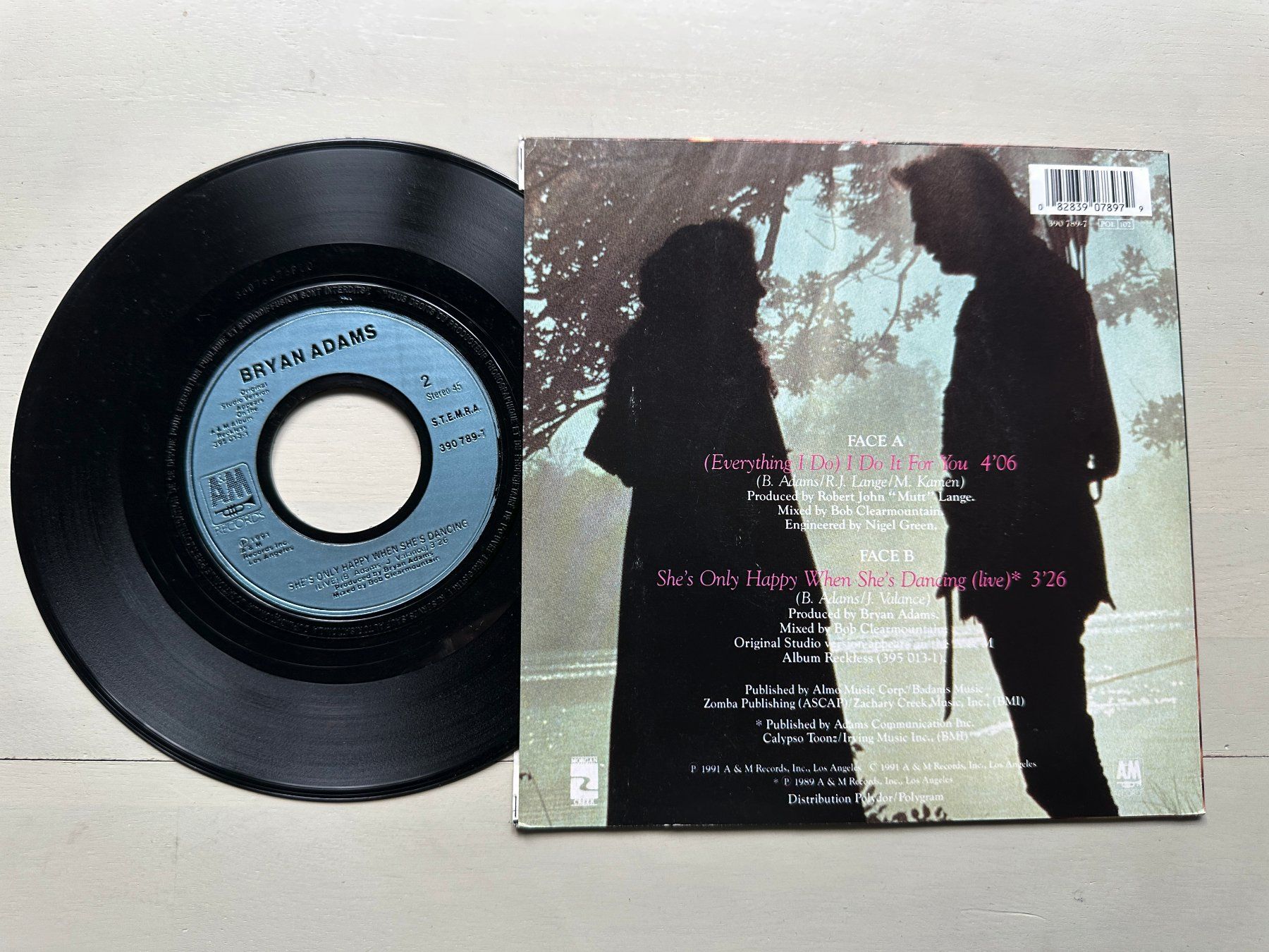 Schallplatten: BRYAN ADAMS tolle Single Everything I do ROBIN HOOD 80' diff – Gebraucht aus Basel von Partridge 1