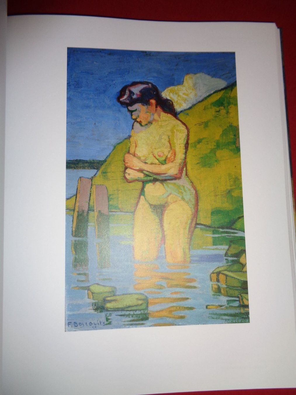Livres: FRITZ Boscovits rar malerei – D'occasion à Welschenrohr par Regool 5