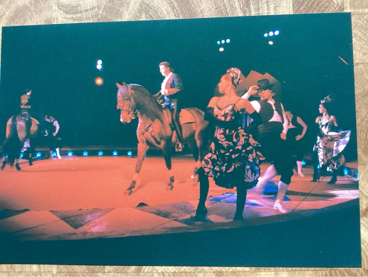 Foto & Immagini: Circus Knie Foto 1992 – Usato da Reichenbach i. K. venduto da astra2010
