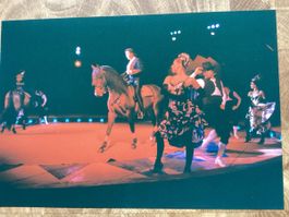 Circus Knie Foto 1992