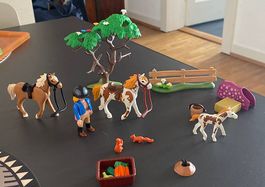 Playmobil chevaux et enclos 