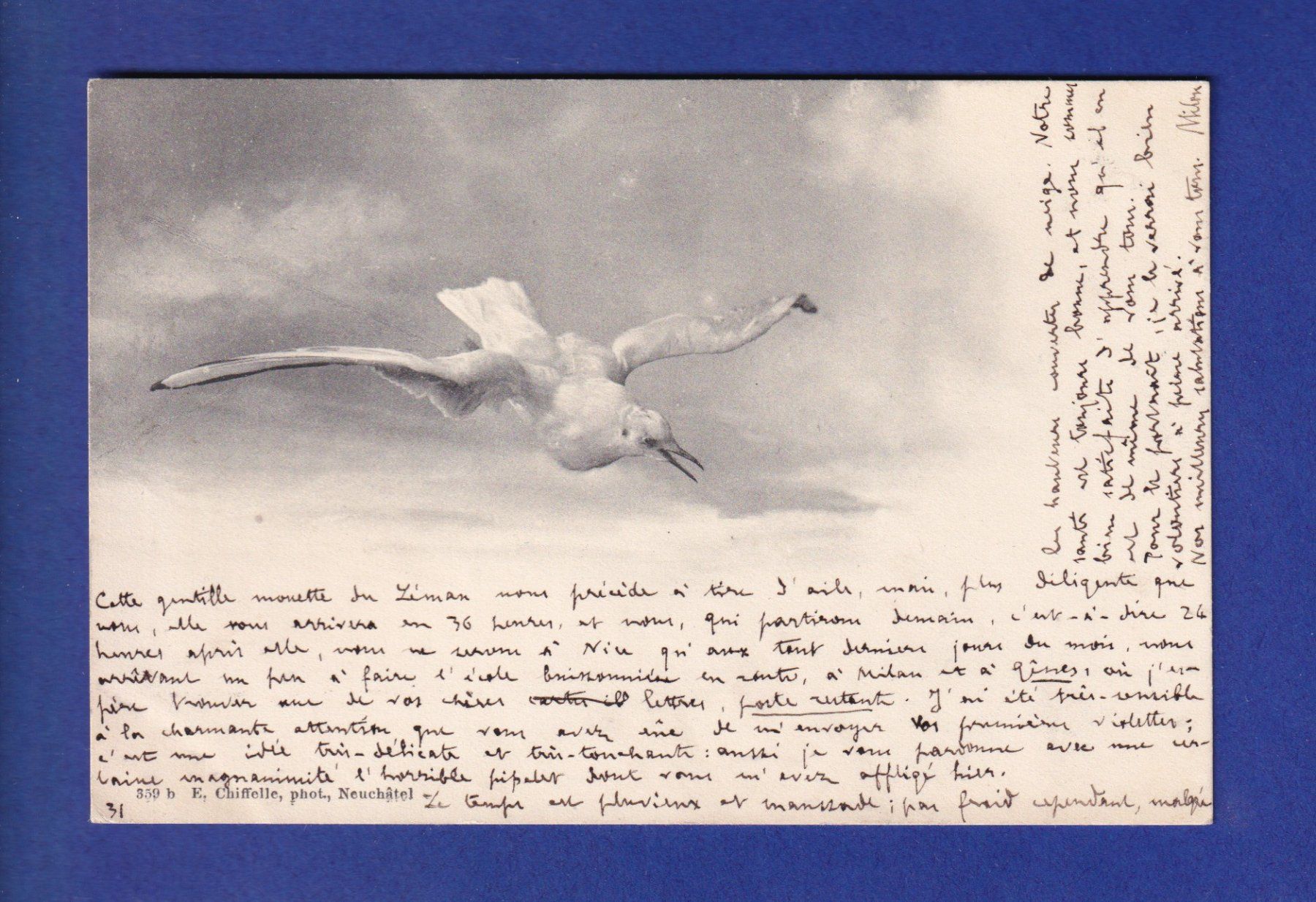 Cartoline postali: OISEAU - Mouette – Usato da Pully venduto da nicecards-shop