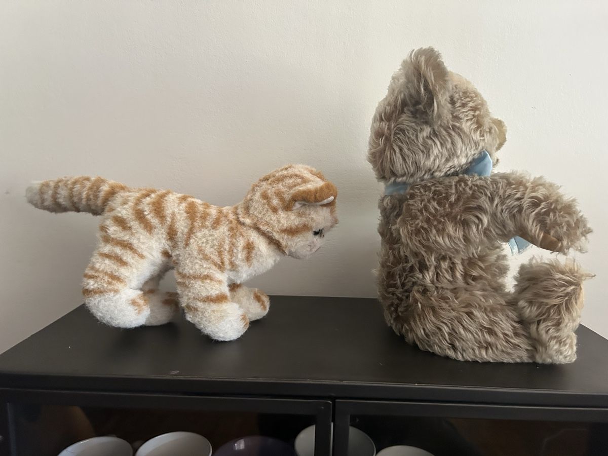 Steiff Jouets: 2 Steiff Tiere Katze und Bär  – D'occasion à Hochfelden par larson27 3