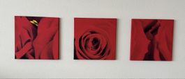 🌹 3-teiliges Wandbild / Leinwandbilder „Rote Rosen“