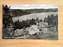Alte Ansichtskarte, Titisee im Schwarzwald, Top Zustand