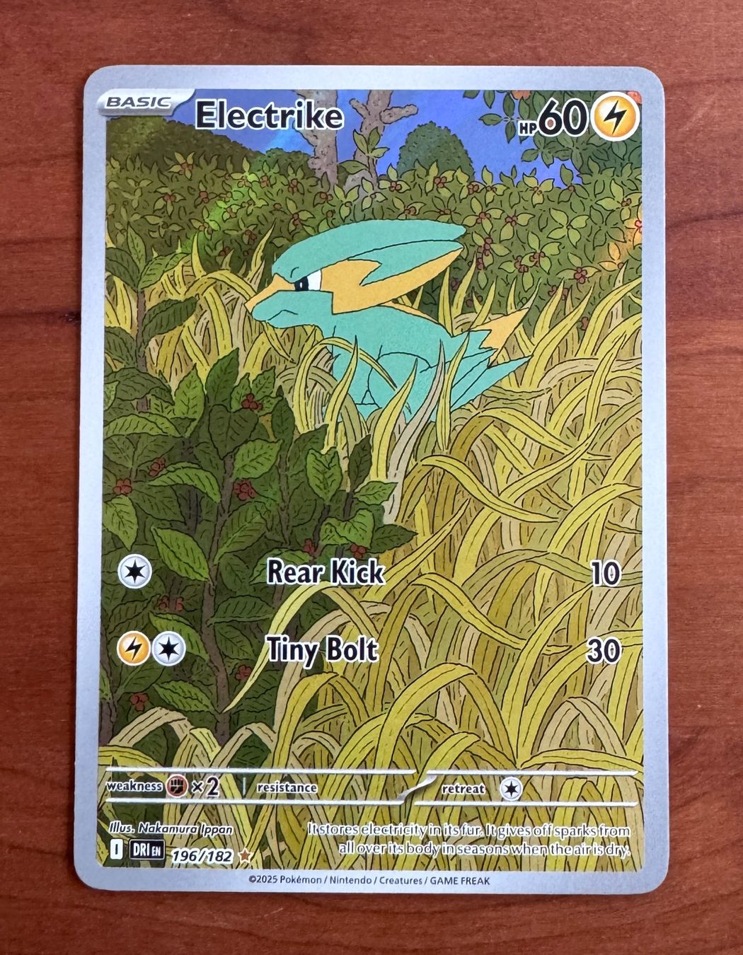Electrike ILLUSTRATION RARE Pokemon DRI Destined Rivals 196 (Neu ...