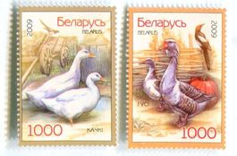 Briefmarken "Enten & Gänse". Weissrussland