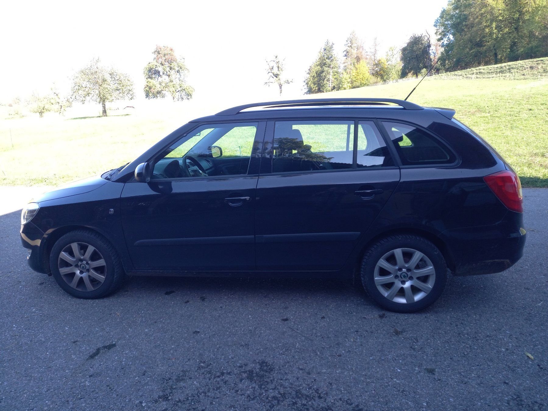 Skoda Automobili: Skoda Fabia – Usato da Hombrechtikon venduto da Ebis6 5