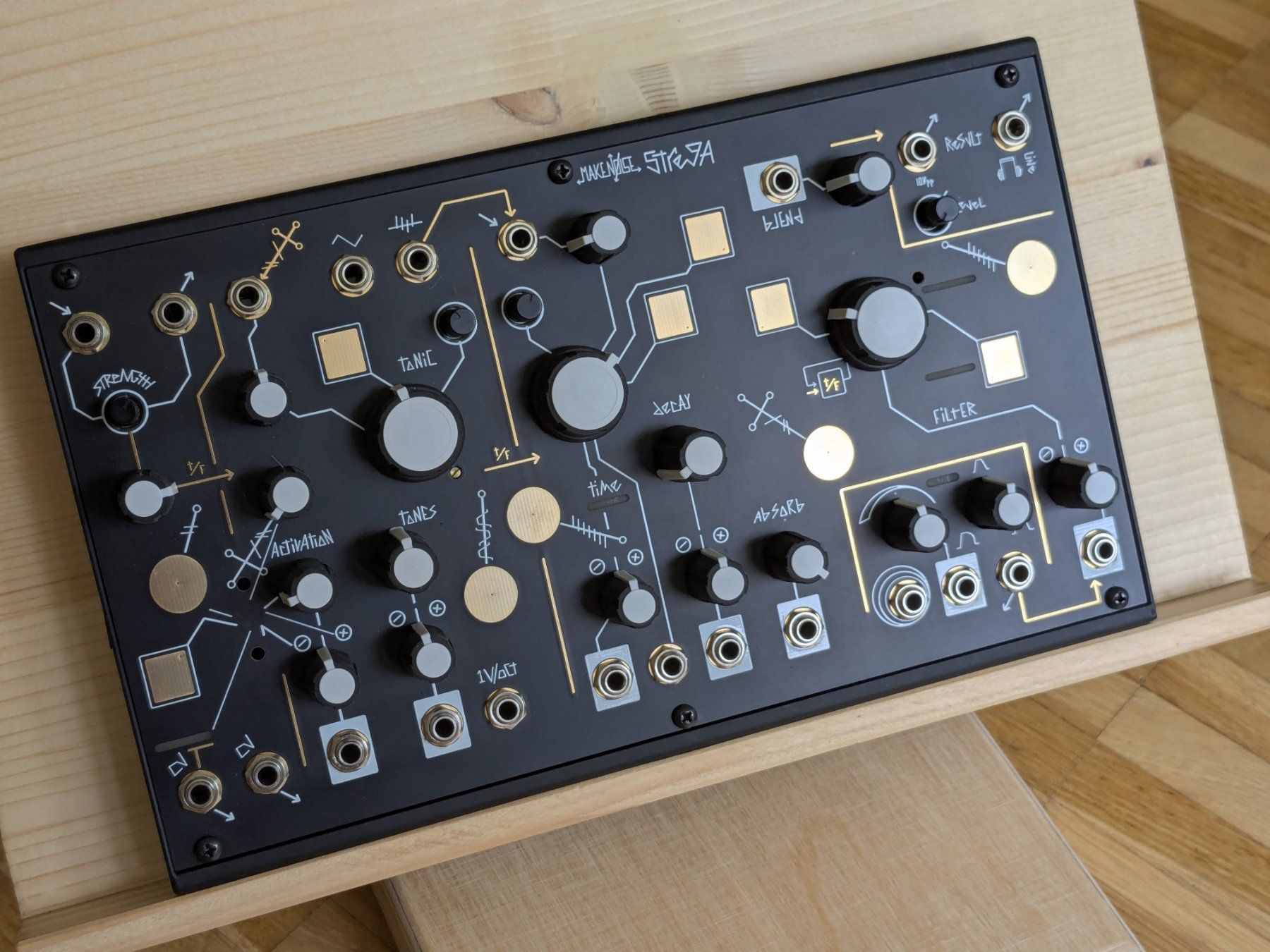 Musikinstrumente: Make Noise Strega – Gebraucht aus Luzern von cha_wld8