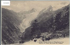 Pointe d'Orny et Aiguille du Tour Glacier de Trient vue pris