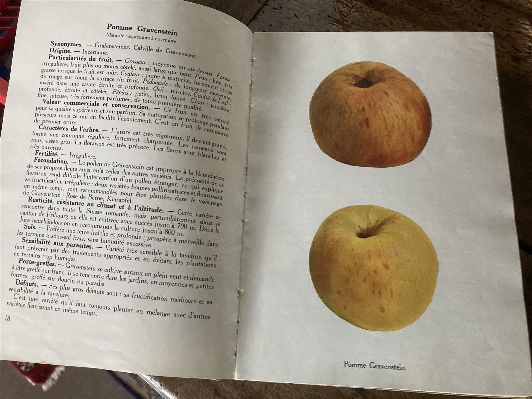 Libri: 1937 Nouvelle Pomologie romande illustré – Usato da Bern venduto da Jwpm66 4