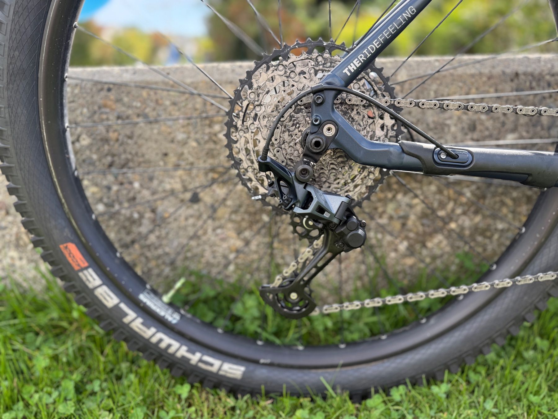 Bixs Biciclette: BIXS Core22 E-MTB Herren in Grösse L (19") – Usato da Zürich venduto da thoscha 2