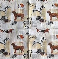 Serviette jagdhunde (t215) 2Stk.