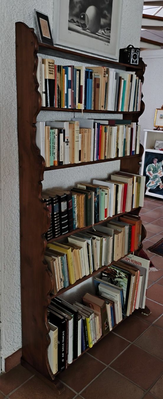 Scaffali: Bibliothèque faite main – Usato da Porrentruy venduto da NGiorda 1