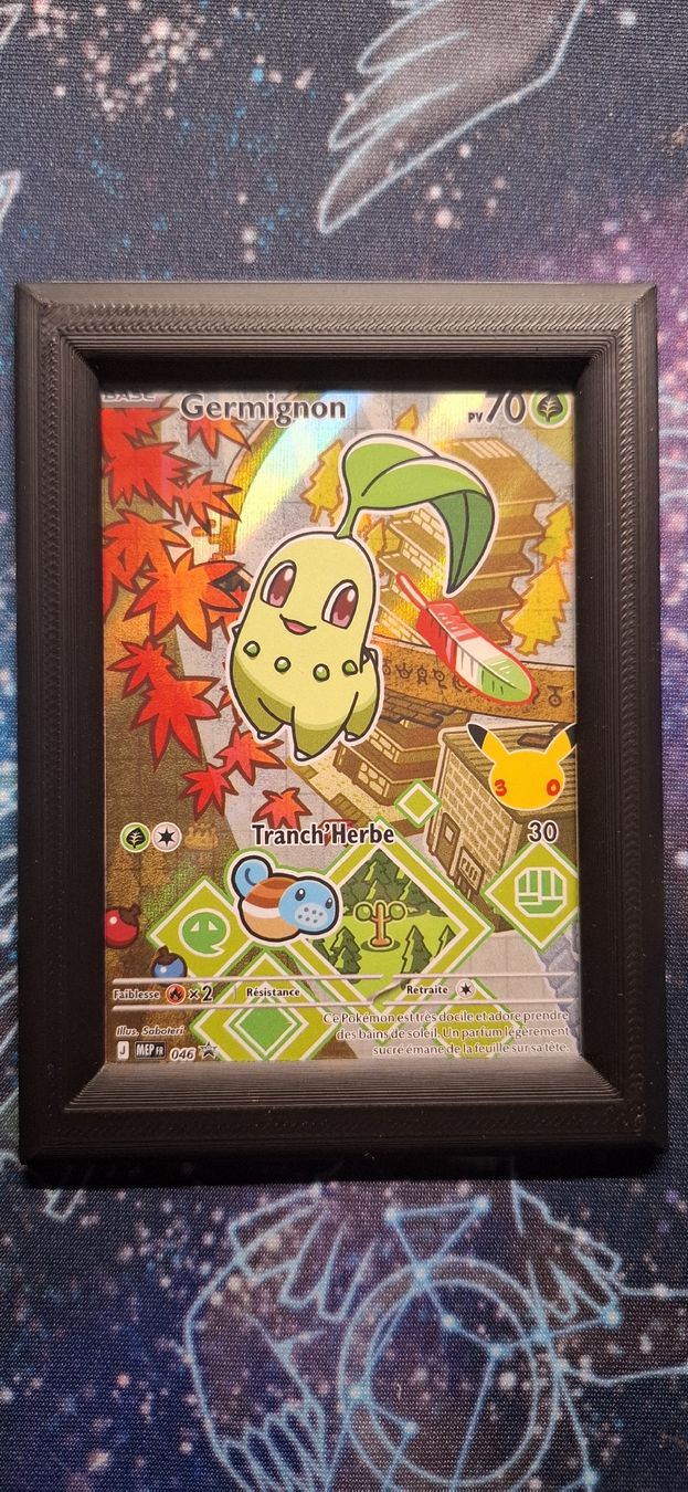 Pokémon Sammelbilder & Trading cards: Germignon / Hericendre / Kaiminus - First Partner FR – Neu (gemäss Beschreibung) aus Petit-Lancy von Kara_TCG 1