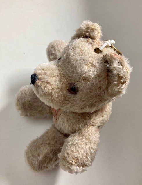 Reuge Carillon: Teddybär mit integrierter Spieldose, antik – Usato da Kriens venduto da heleneb02 1