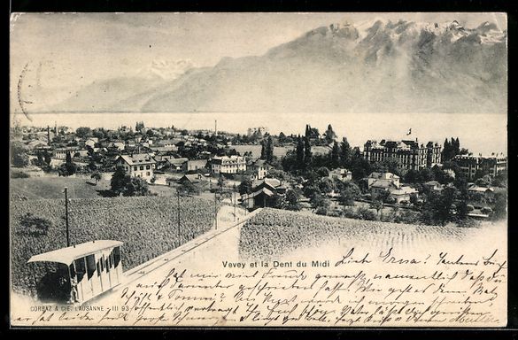 Ansichtskarten: Vevey at la Dent du Midi, Totalansicht m – Gebraucht aus Berlin von bartko-reher