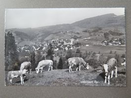 MÜMLISWIL