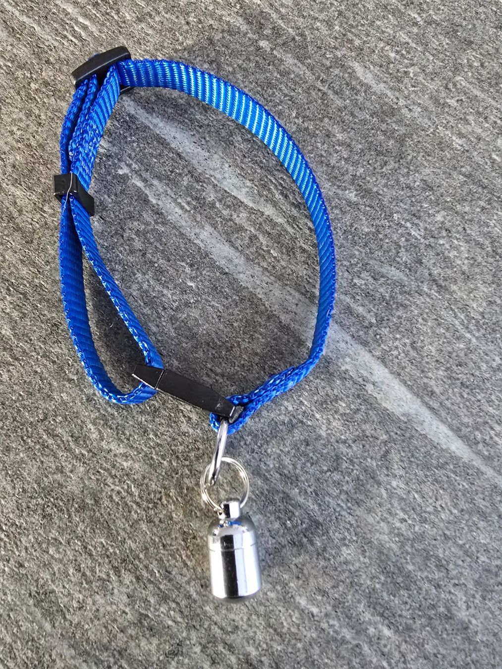 Trixie Leine & Halsband: Katzenhalsband mit Adressanhänger – Neu (gemäss Beschreibung) aus Domat/Ems von blu_29b7
